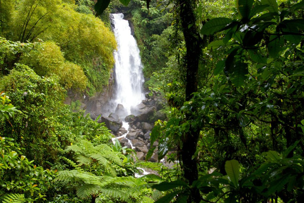 Trafalgar Falls, Dominica